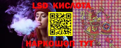 стаф Донецк