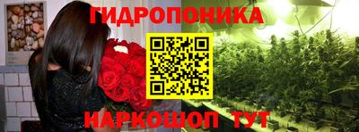 mdma Дубна