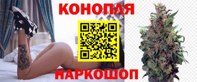 бошки Донской
