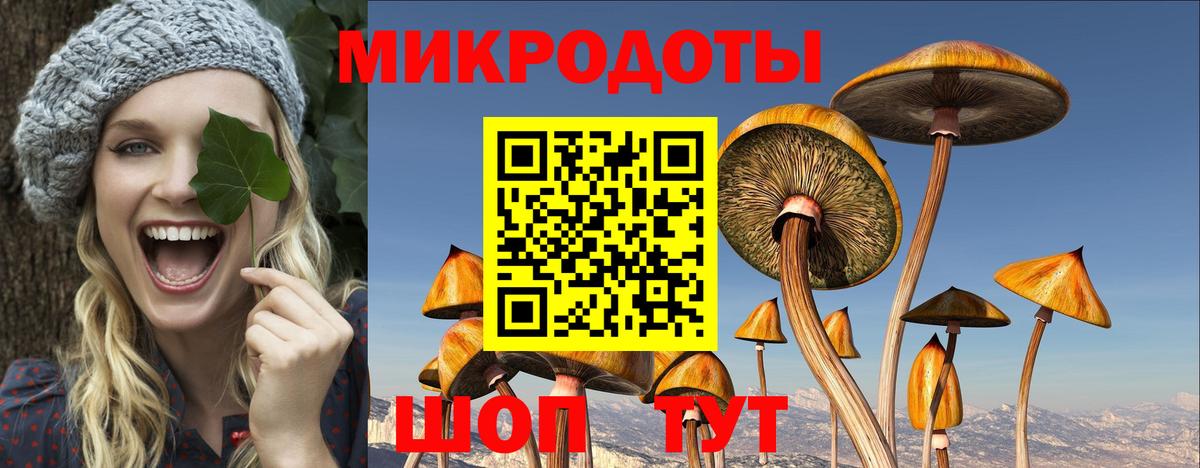 Псилоцибиновые грибы мицелий  Вход с VPN  Лесозаводск  Галлюциногенные грибы прущие грибы 