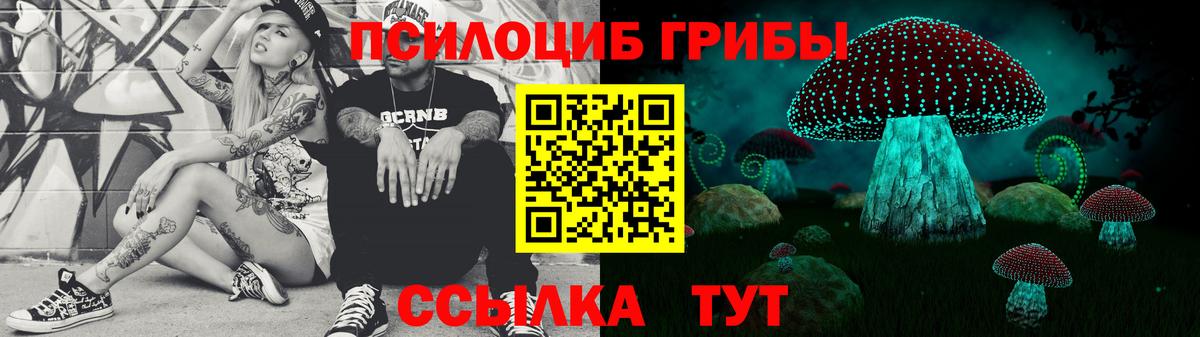 Галлюциногенные грибы Psilocybe Лесозаводск